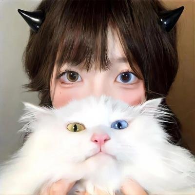 鸡同鸭讲